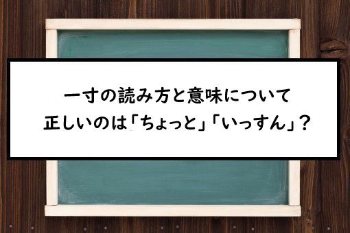 一寸の読み方と意味 ちょっと と いっすん 正しいのは