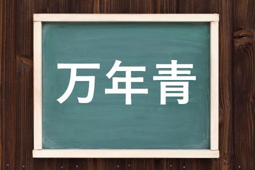 万年青の読み方と意味 おもと と まんねんあお 正しいのは