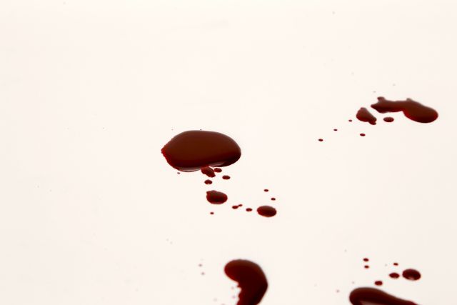 侧柏主治平肝润肾 延年壮神 老人便秘 肠风下血 吐血 大肠下血 月经不断 药品 查病药网 中医查询药方查询