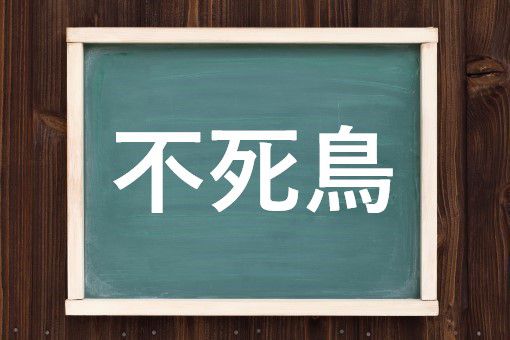 不死鳥の読み方と意味 フェニックス と ふしちょう 正しいのは