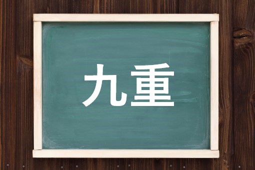 九重の読み方と意味 くじゅう と ここのえ 正しいのは