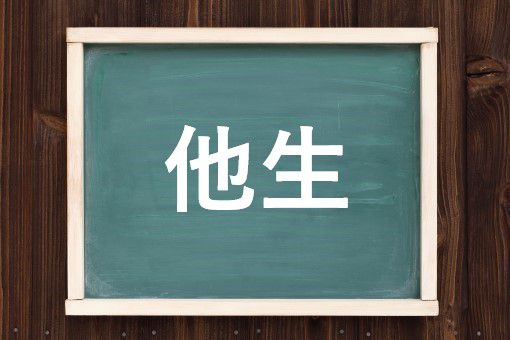 他生の読み方と意味 たせい と たしょう 正しいのは