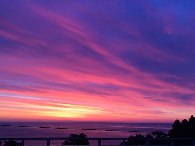 他生の読み方と意味 たせい と たしょう 正しいのは