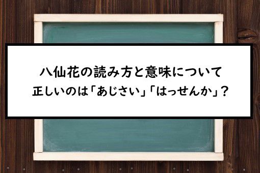 八仙花の読み方と意味 あじさい と はっせんか 正しいのは