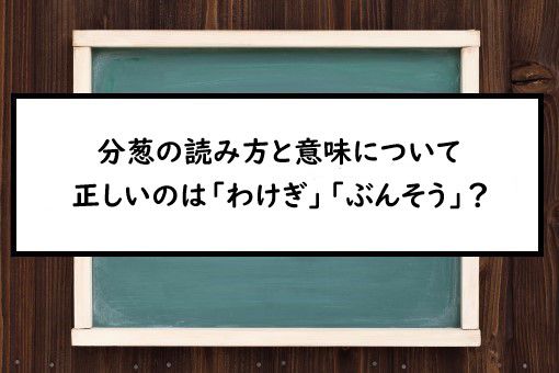 分葱の読み方と意味 わけぎ と ぶんそう 正しいのは