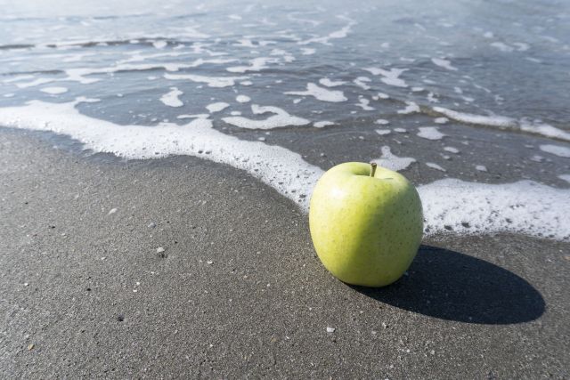 単一の読み方と意味 たんいち と たんいつ 正しいのは