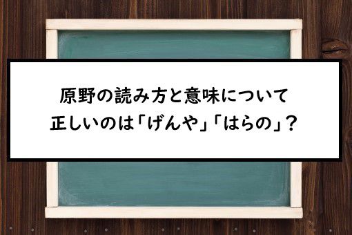 原野の読み方と意味 げんや と はらの 正しいのは