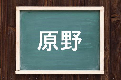 原野の読み方と意味 げんや と はらの 正しいのは