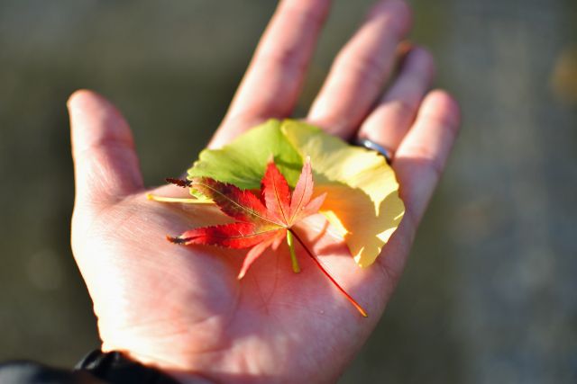 収拾の読み方と意味 しゅうしゅう と しゅうしょう 正しいのは