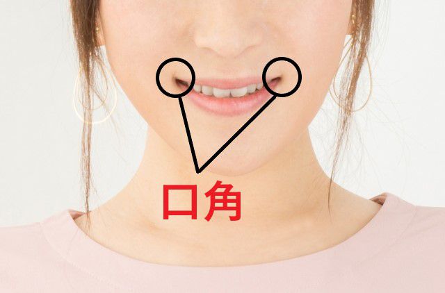 口角の読み方と意味 こうかく と くちかど 正しいのは