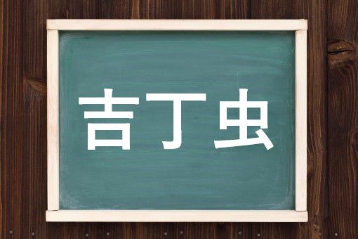 吉丁虫の読み方と意味 たまむし と きっちょうむし 正しいのは