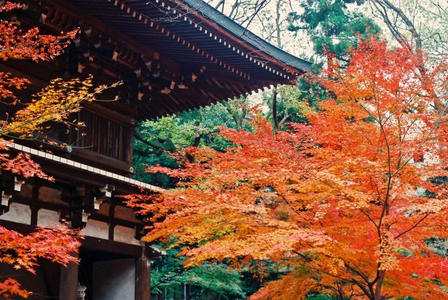 名刹の読み方と意味 めいさつ と めいせつ 正しいのは