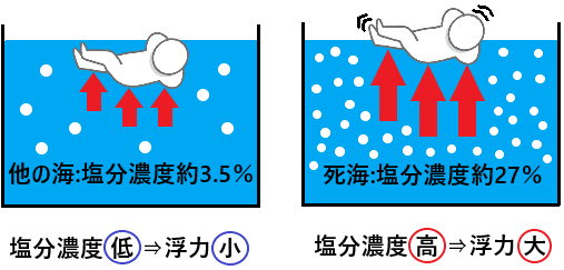 海水 塩分 濃度 何故海の水は飲んではいけないか 海の水が塩辛い理由 Www Dfe Millenium Inf Br