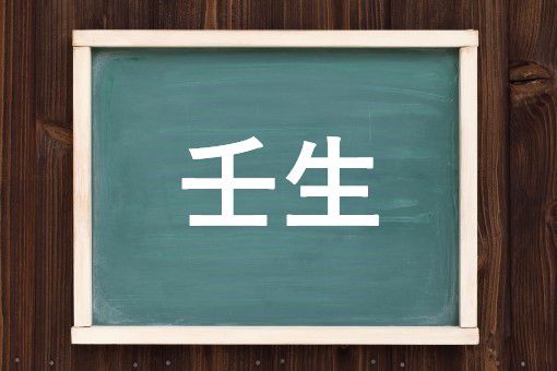 壬生の読み方と意味 みぶ と じんせい 正しいのは