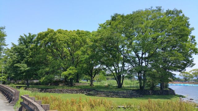 夏木立の読み方と意味 なつこだち と なつきだち 正しいのは