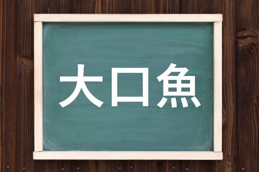 大口魚の読み方と意味 たら と たいこうぎょ 正しいのは