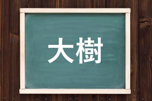 大樹の読み方と意味 たいじゅ と だいじゅ 正しいのは