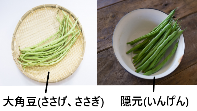 大角豆の読み方と意味 ささぎ と ささげ 正しいのは
