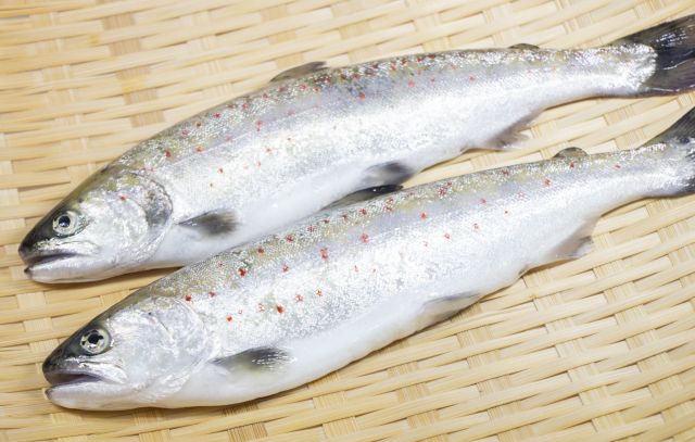 天魚の読み方と意味、「あまご」と「てんぎょ」正しいのは？