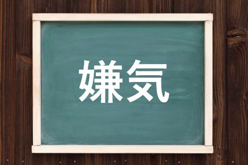 嫌忌
