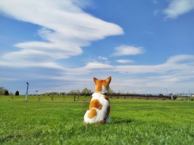 小康の読み方と意味 しょうこう と ここう 正しいのは
