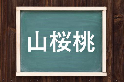 山桜桃の読み方と意味 ゆすら と ゆすらうめ 正しいのは