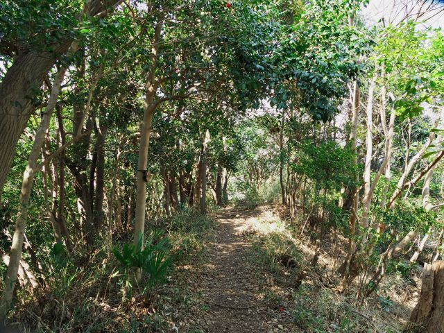 山路の読み方と意味 やまじ と さんろ 正しいのは