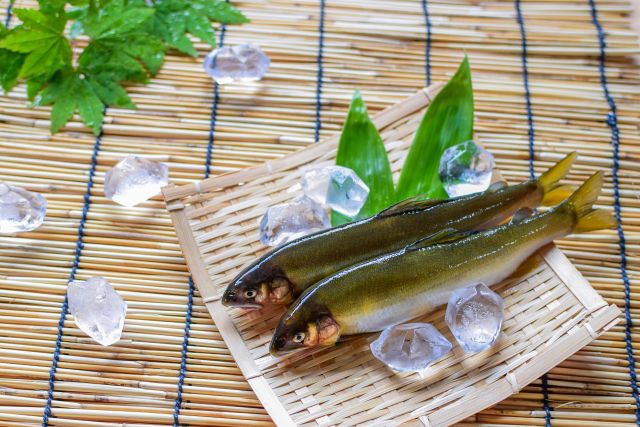 年魚の読み方と意味 あゆ と ねんぎょ 正しいのは