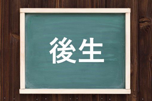 後生の読み方と意味 ごしょう と こうせい 正しいのは