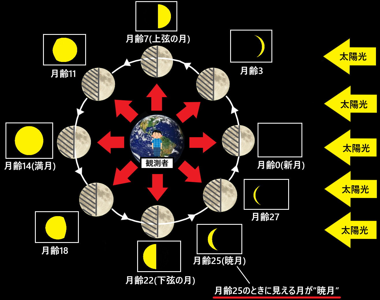 暁月とは どんな形の月なのかを図で解説