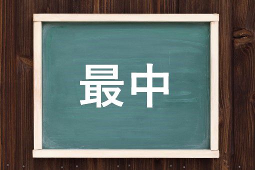 最中特集 大丸東京店