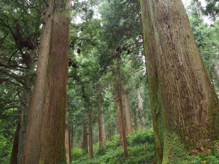 最奥部の読み方と意味 さいおうぶ と さいおくぶ 正しいのは