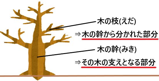 木の枝と木の幹の違いとは