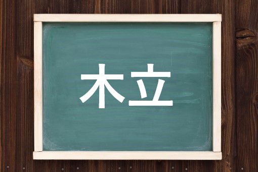 木立の読み方と意味 こだち と もくりつ 正しいのは