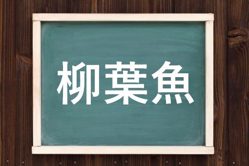 柳葉魚の読み方と意味 ししゃも と りゅうようぎょ 正しいのは