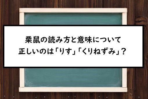 栗鼠の読み方と意味 りす と くりねずみ 正しいのは