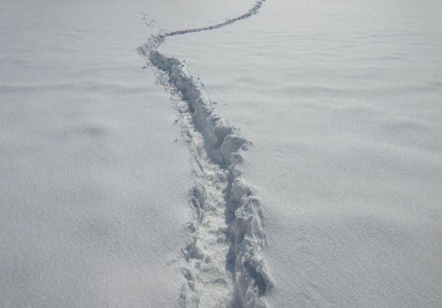 根雪の読み方と意味 ねゆき と こんせつ 正しいのは