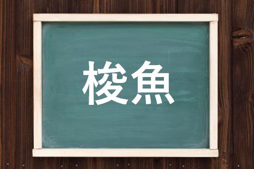 梭魚の読み方と意味 カマス と しゅんぎょ 正しいのは