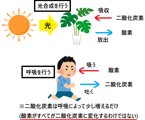 温室効果ガスが増加する原因とは何か