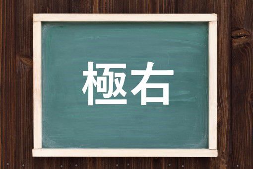 極右の読み方と意味 ごくう と きょくう 正しいのは