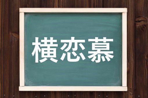 横恋慕の読み方と意味 よこれんぼ と おうれんぼ 正しいのは