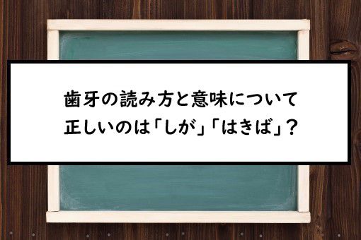 歯牙の読み方と意味 しが と はきば 正しいのは