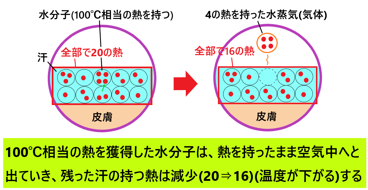 気化熱(蒸発熱)とは？気化熱で冷える仕組みをわかりやすく図で解説！