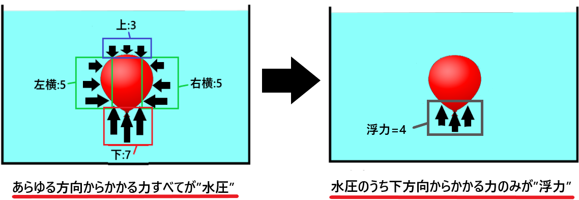 水温と浮力の関係について 水温によって浮力が変化する仕組みとは