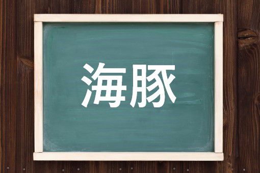 海豚の読み方と意味 いるか と うみぶた 正しいのは