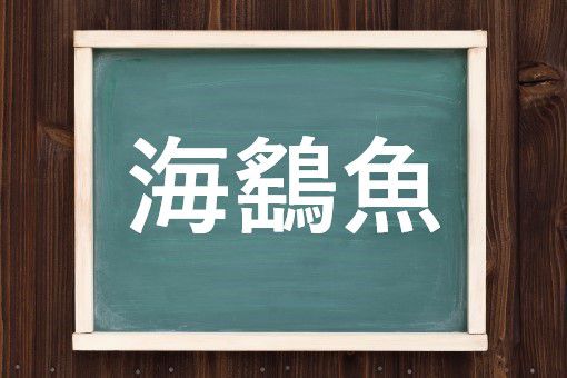 海鷂魚の読み方と意味 エイ と かいようぎょ 正しいのは