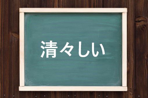 清々しいの読み方と意味 きよきよしい と すがすがしい 正しいのは