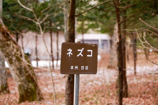 渾名の読み方と意味 あだな と きめい 正しいのは