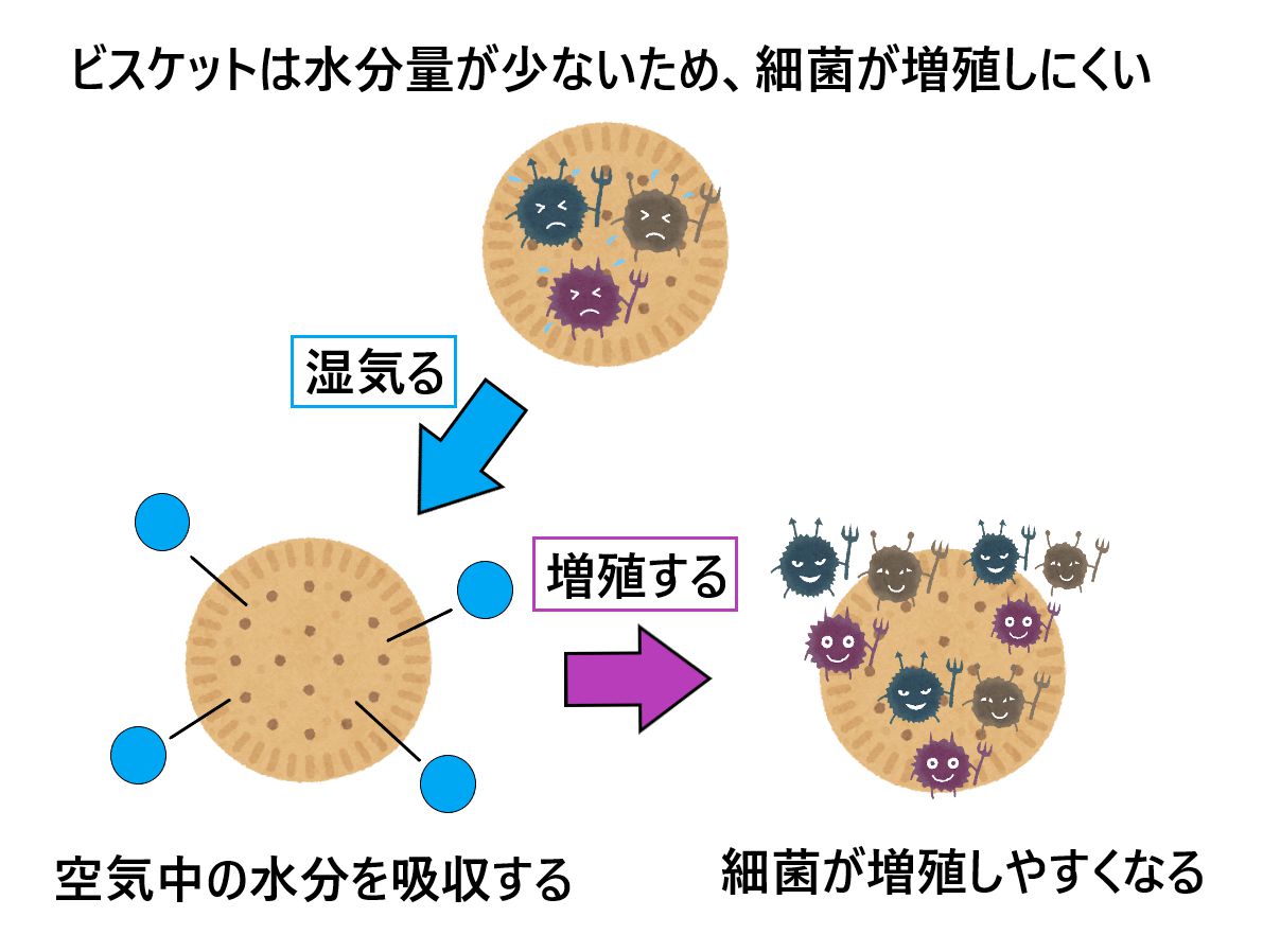 食べ物が腐る理由をわかりやすく解説！