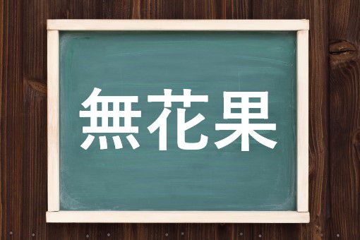 無花果の読み方と意味 いちじく と むはなか 正しいのは